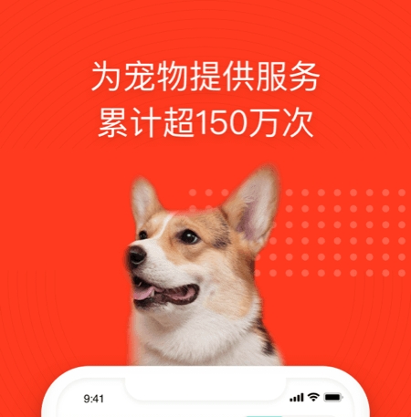 最新好用的养宠物的软件有哪些